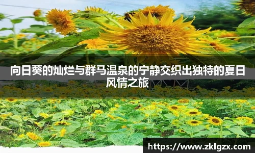 CA88官方网站